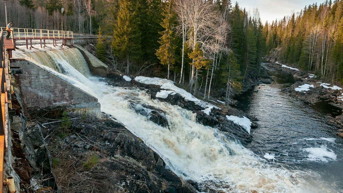 Treenimise eelised igapäevaelus